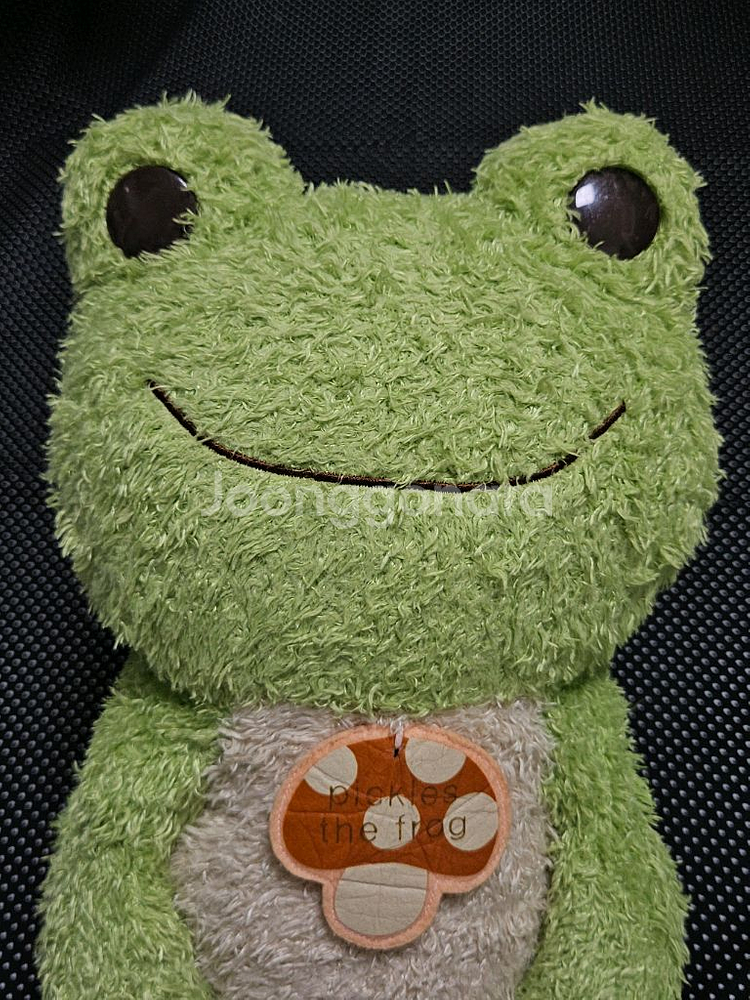 피클스개구리 대형 버섯인형 피클스 더 프로그--5