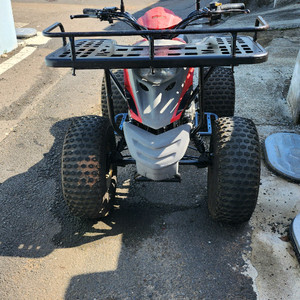 대림 사륜오토바이 올코트 100cc ATV 산악 레져