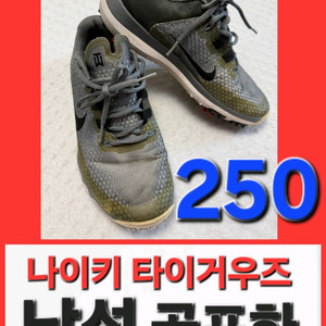 나이키 타이거우즈 15 골프화 250