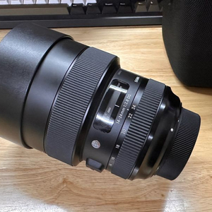 시그마 A 14-24mm DG HSM 니콘마운트용
