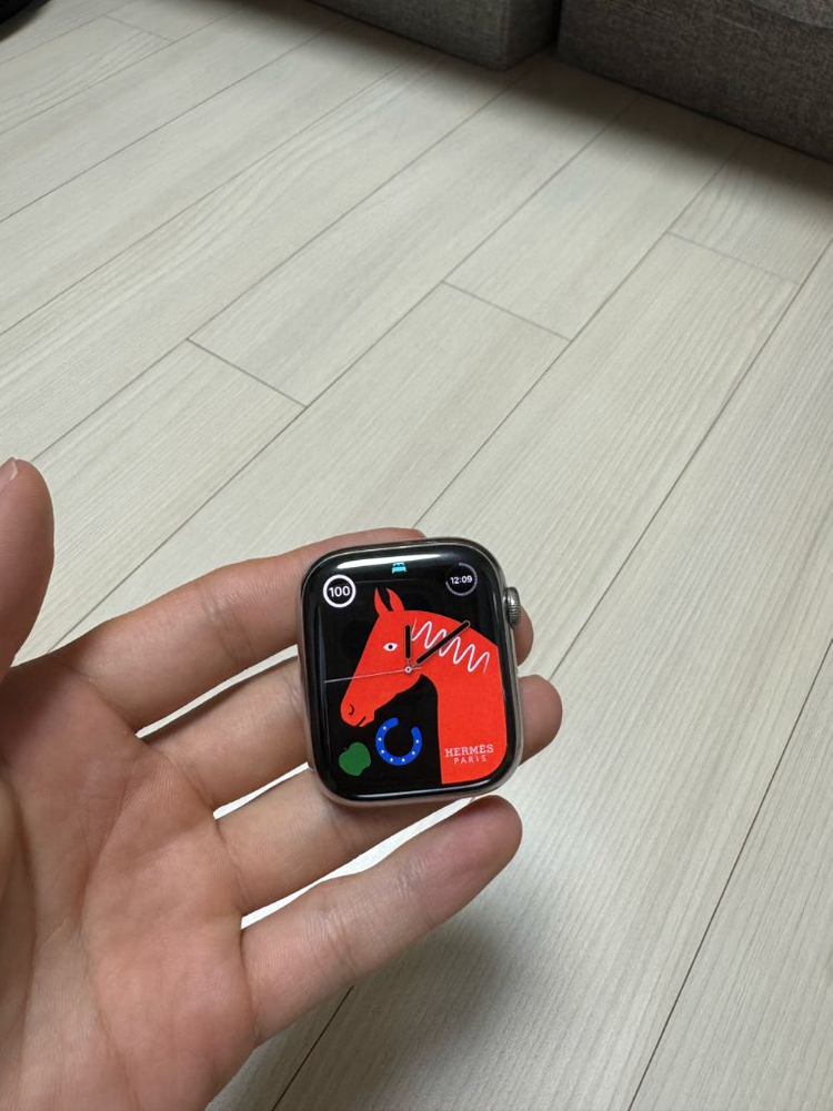 애플워치 7 - Hermes Silver 45mm 이미지