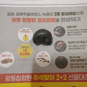 버즈2 프로 오른쪽(택포함)