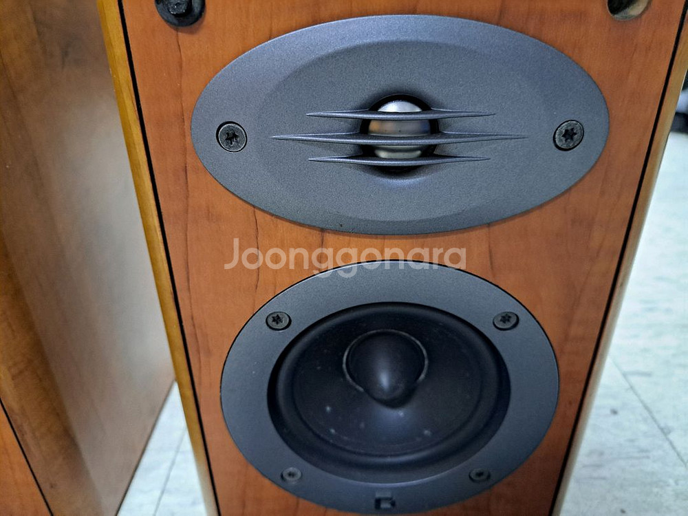 셀레스천 Celestion F10 북쉘프--7