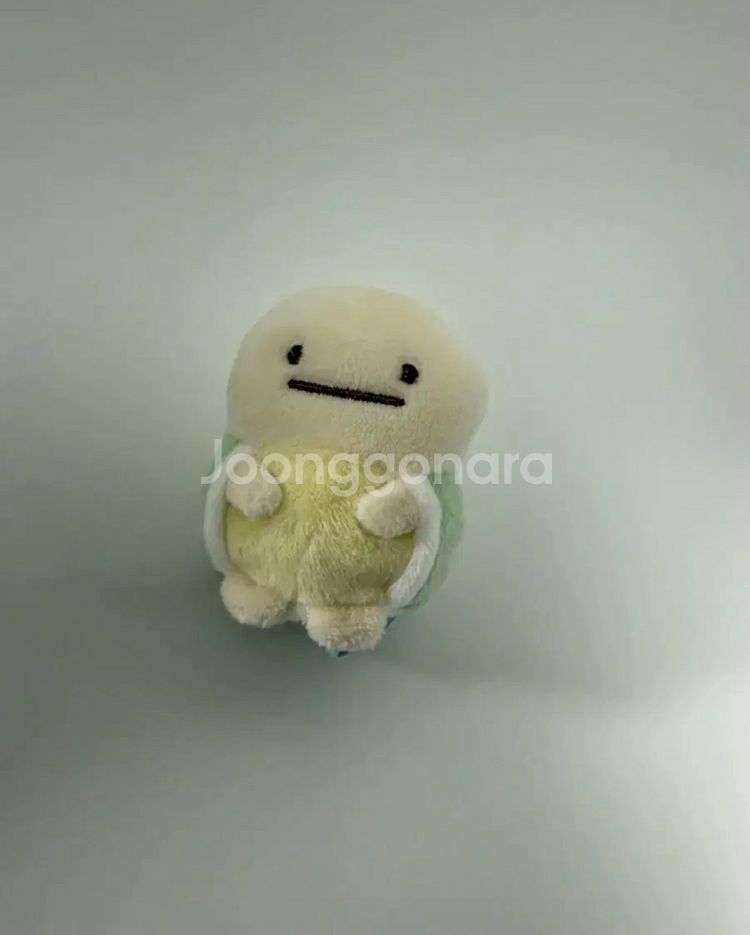스미코구라시 거북이--0