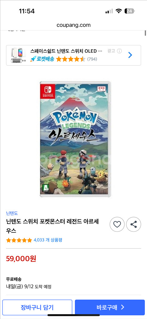 레전드아르세우스--0