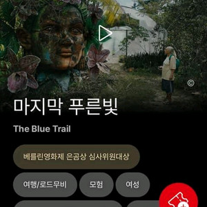 부국제 티켓 교환구합니다. (부산국제영화제)