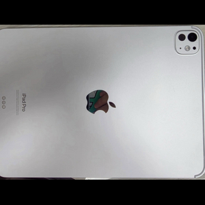 아이패드 프로 m4 6세대 11인치 + 펜슬프로 팝니다