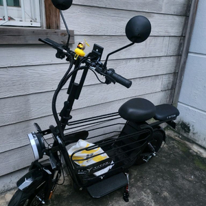 타이탄600pro 전동스쿠터 강아지 중대형 반려동물 탑