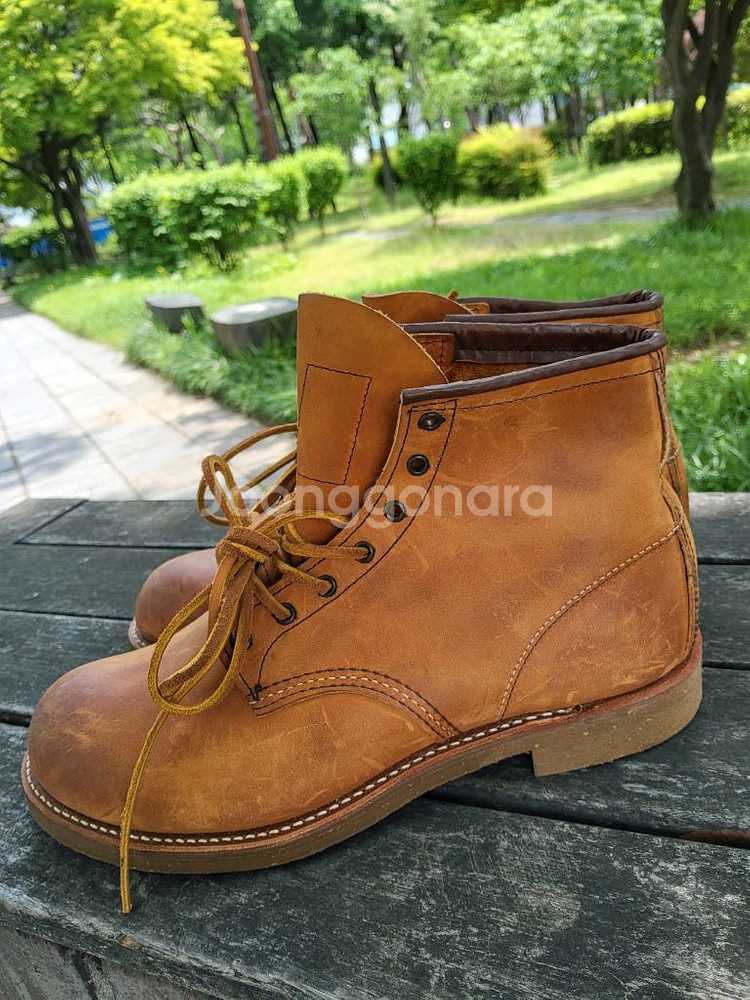 레드윙 4597 라운드토 미사용신품 280~285--3