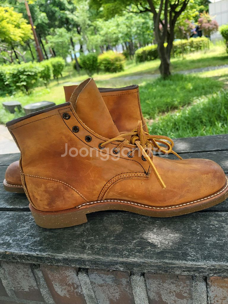 레드윙 4597 라운드토 미사용신품 280~285--5