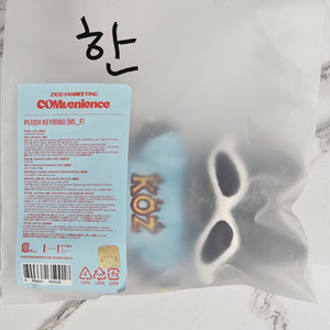 지코 팬미팅 컴비니언스 플러시인형키링 쓰껄이 단순개봉품