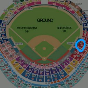 불꽃야구 1루1층 1B 2연석4만원씩에팔아요