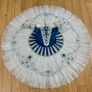 클래식 발레의상