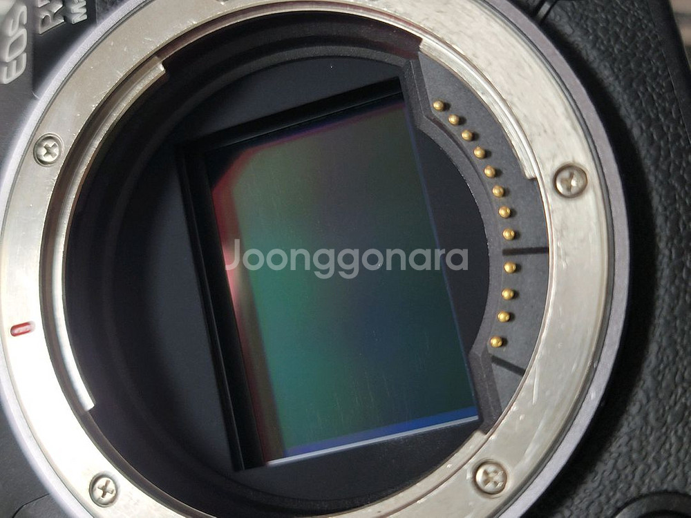 캐논 R5 mark2 알오막투 RF 28mm 팬케익렌즈--7
