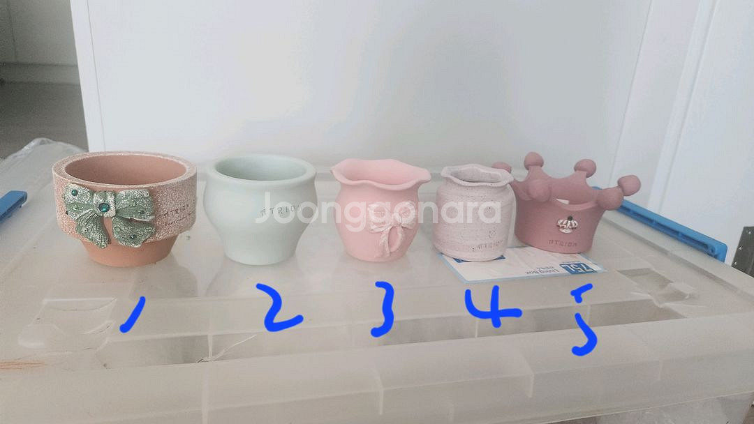 아뜨리움 토분--0