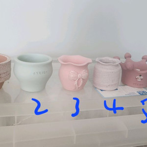 아뜨리움 토분