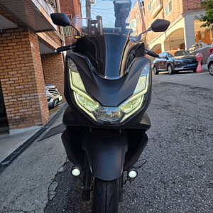 혼다 PCX 2024.09