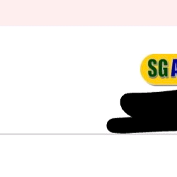 싱가포르 유니버셜e티켓