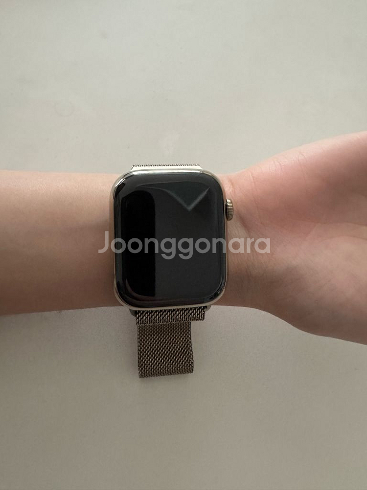 애플워치7 45mm 스테인리스 골드--0