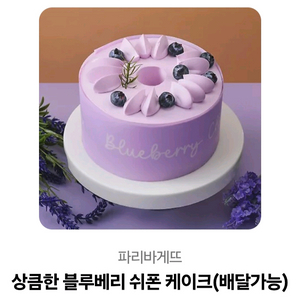 파리바게트 블루베리 쉬폰 케이크