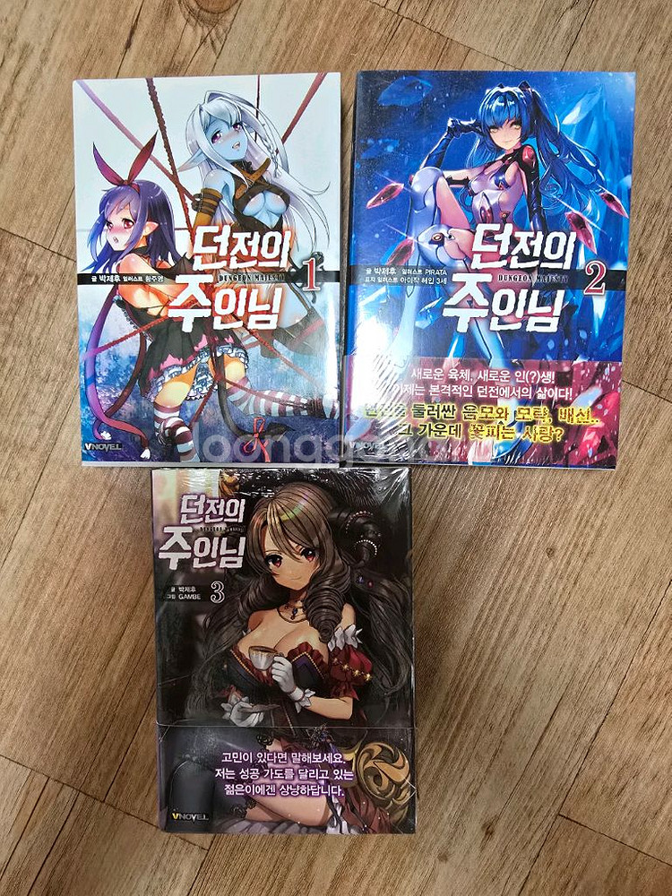 라노벨 던전의 주인님 1~3 미개봉,초판포함--0