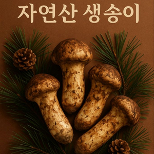 백두산 자연산 생 송이버섯 3등급 1kg