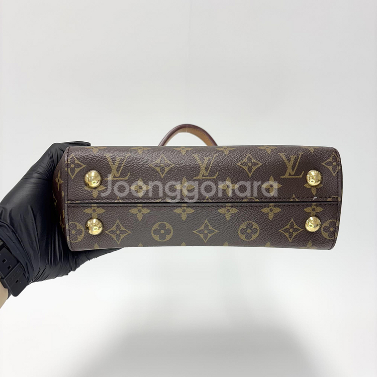 루이비통 클루니 BB 모노그램--5