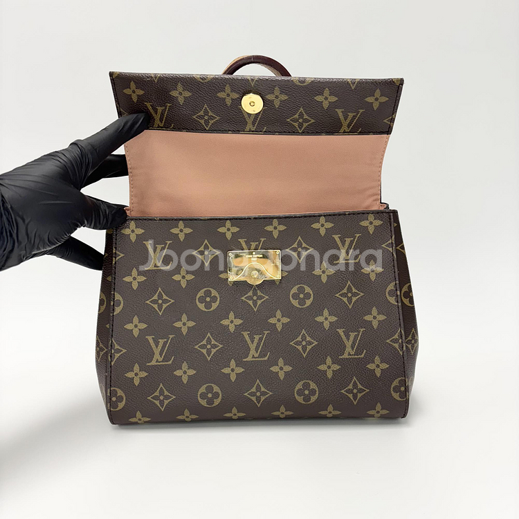 루이비통 클루니 BB 모노그램--6