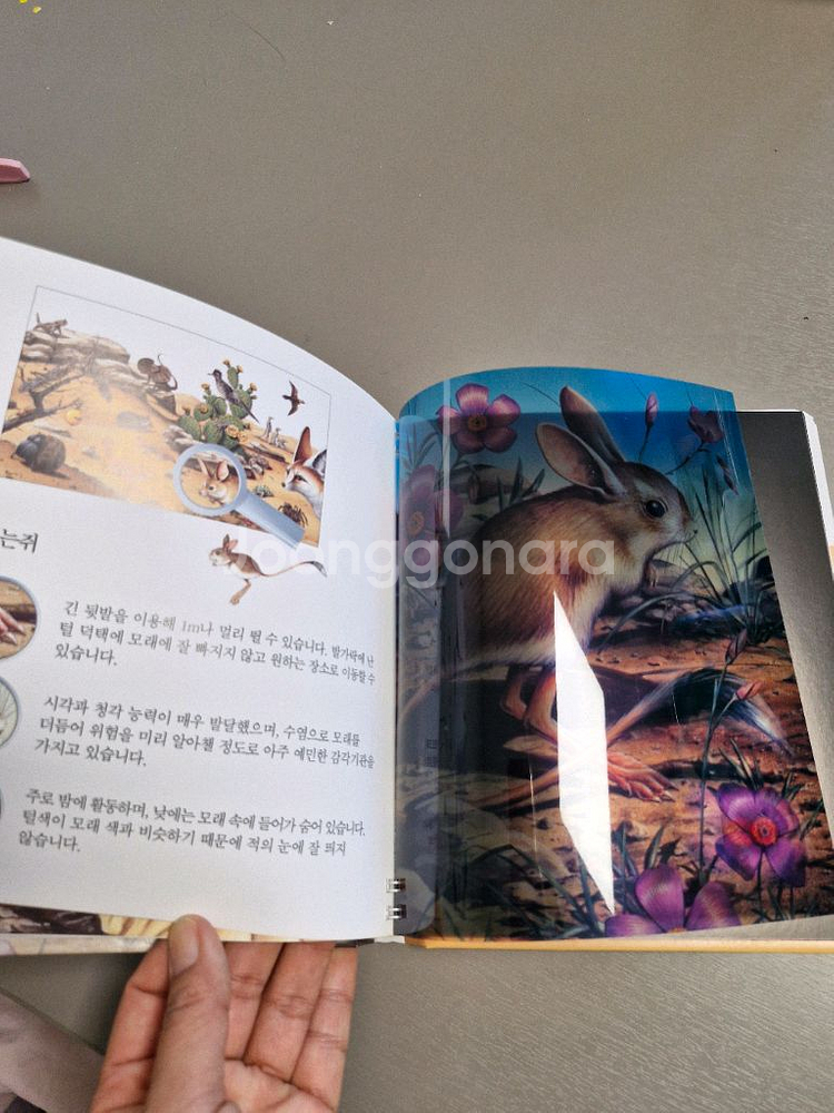 오르다코리아에서 나온 동식물 관련 책입니다--4