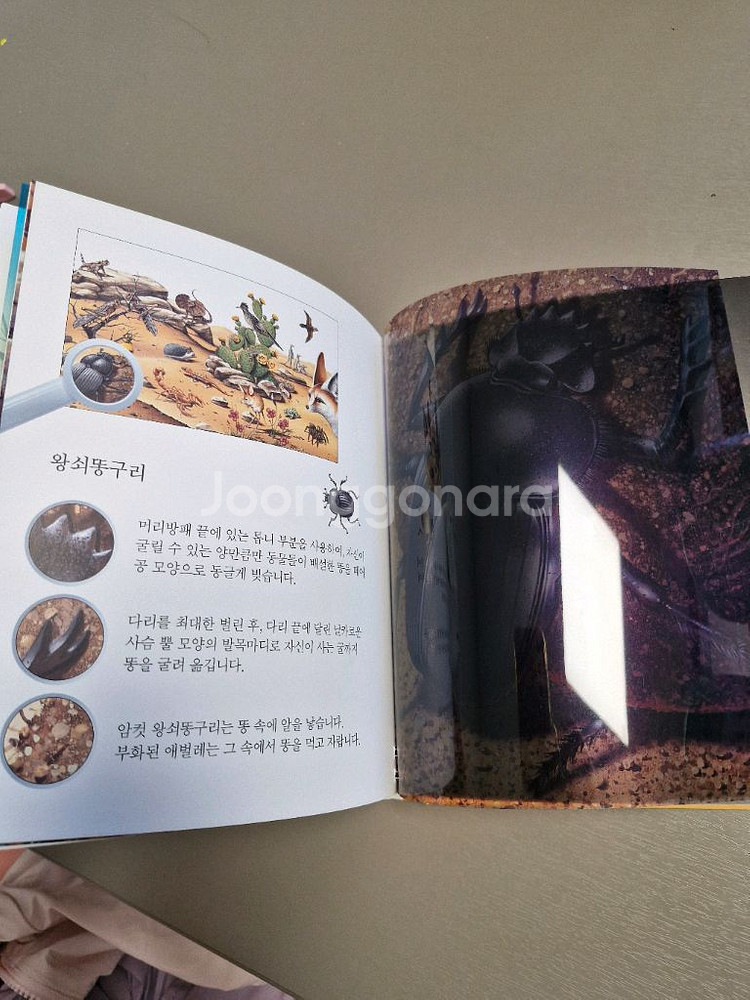 오르다코리아에서 나온 동식물 관련 책입니다--5