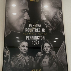 알렉스 페레이라 친필 싸인 ufc 공식 포스터 액자