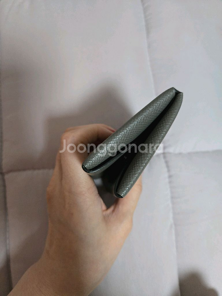 에르메스 칼비 듀오--6