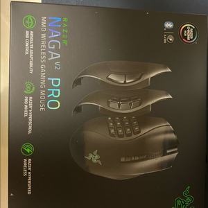 레이저 나가 v2 pro