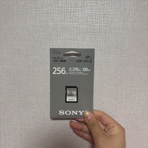 소니 sd 카드 256GB