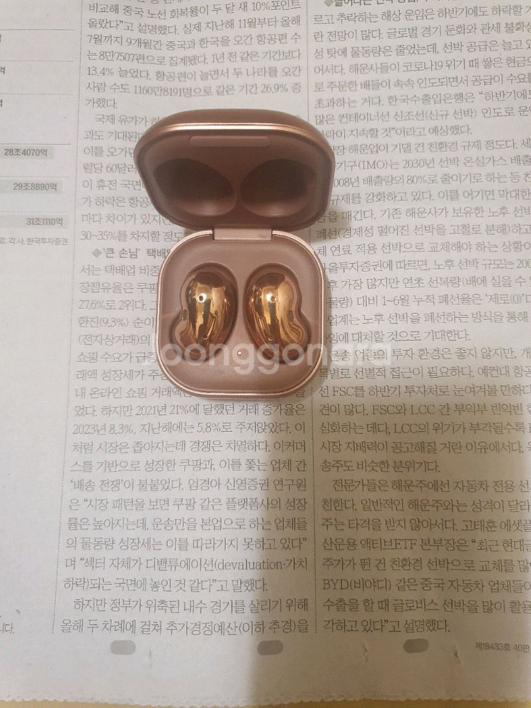 버즈라이브 (택포함)--0