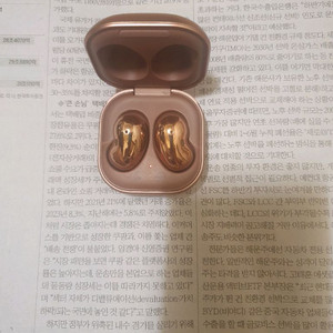 버즈라이브 (택포함)