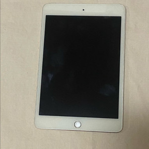 아이패드 미니 4세대 iPad mini4 64GB 실버