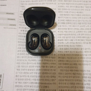 버즈라이브(택포함)