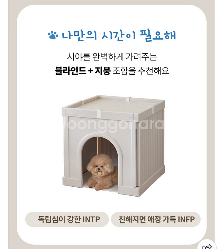 텍미홈 펫룸 지붕형--0