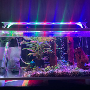 어항+조명