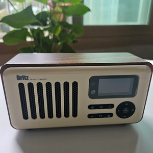 브리츠 블루투스 스피커(택포)