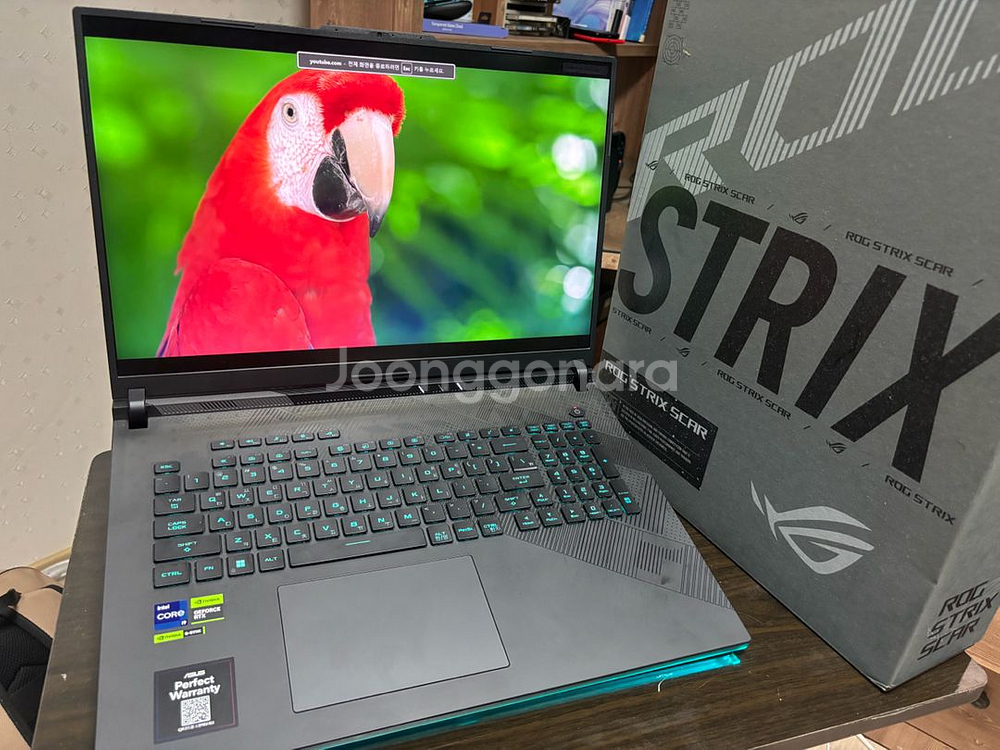 에이수스 로그 스트릭스 스카 4090--1