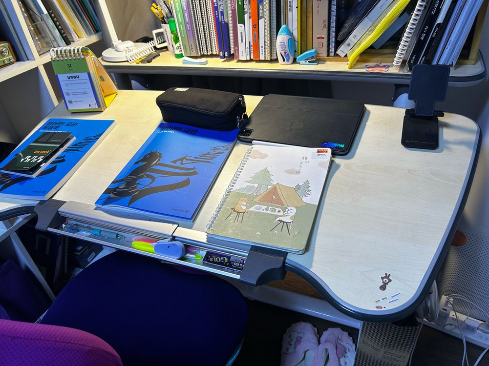 니스툴그로우(Nistulgrow) 높이조절 책상+의자 이미지