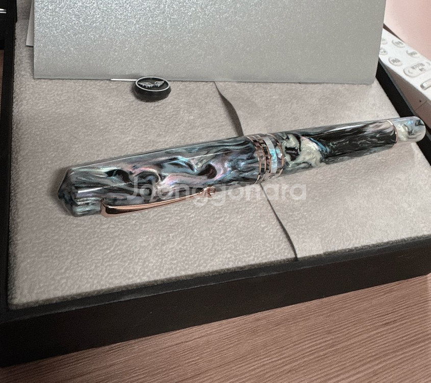 한정판 레오나르도 그란데 에블린 만년필 M닙 팝니다.--0