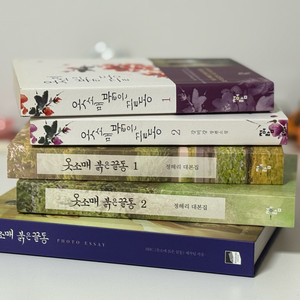 이준호 옷소매 붉은 끝동 대본, 책