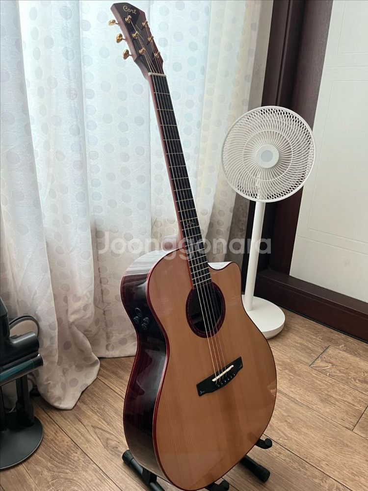 콜트 골드 a10 코코볼로--0