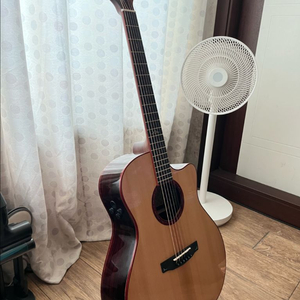 콜트 골드 a10 코코볼로