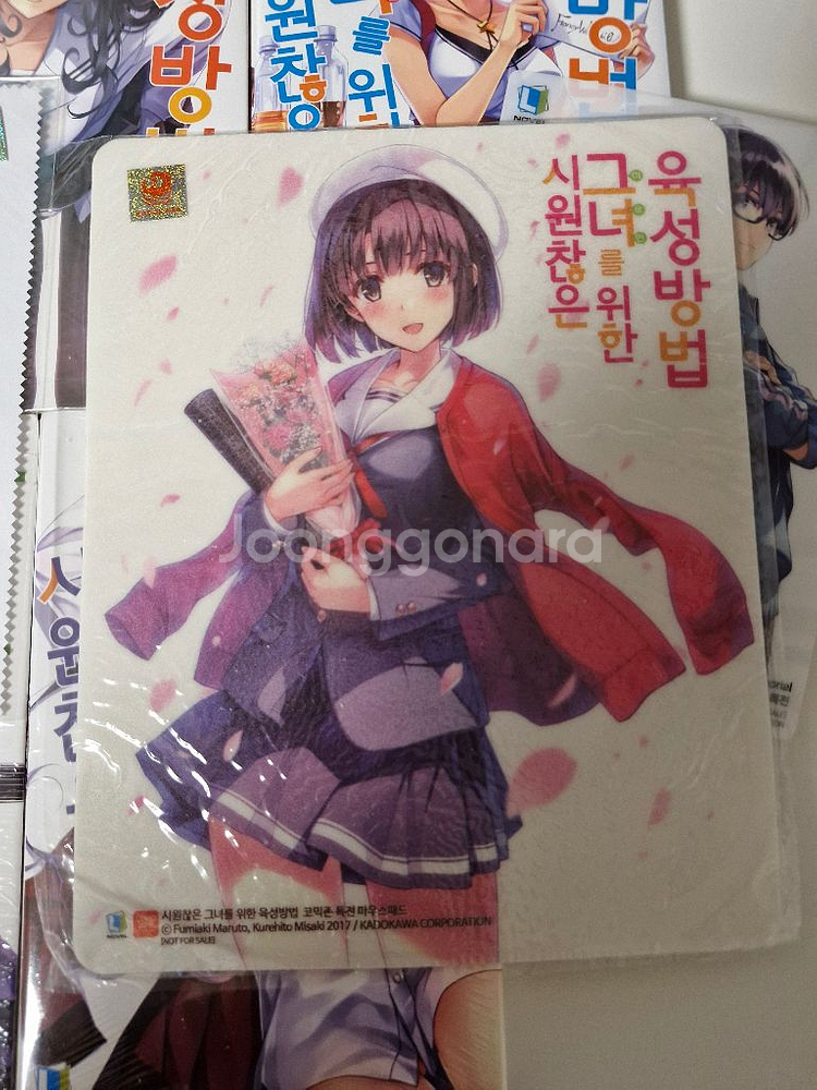 미개봉,시원찮은 그녀를 위한 육성방법 소설 1~5 세트--2