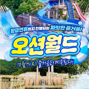 오션월드 종일권 구명조끼