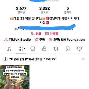 틱톡 33레벨 팝니다 이미지